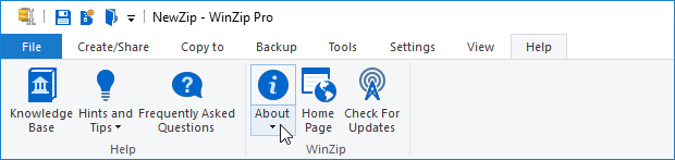 Open the About WinZip dialog