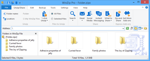 WinZip using the Explorer style with the Address Bar and Details view