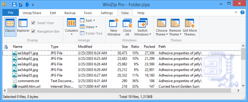 WinZip using the Classic style with the Details view