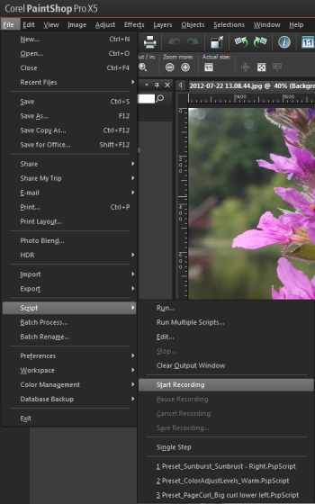 Creating a Watermark in Corel PaintShop Pro