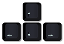 Keyboard arrow keys