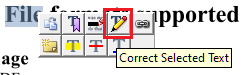 Context menu with Correct Selected Text marked